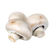 champignon